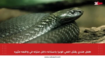 طفل هندي يقتل أفعى كوبرا بأسنانه داخل منزله في واقعة مثيرة